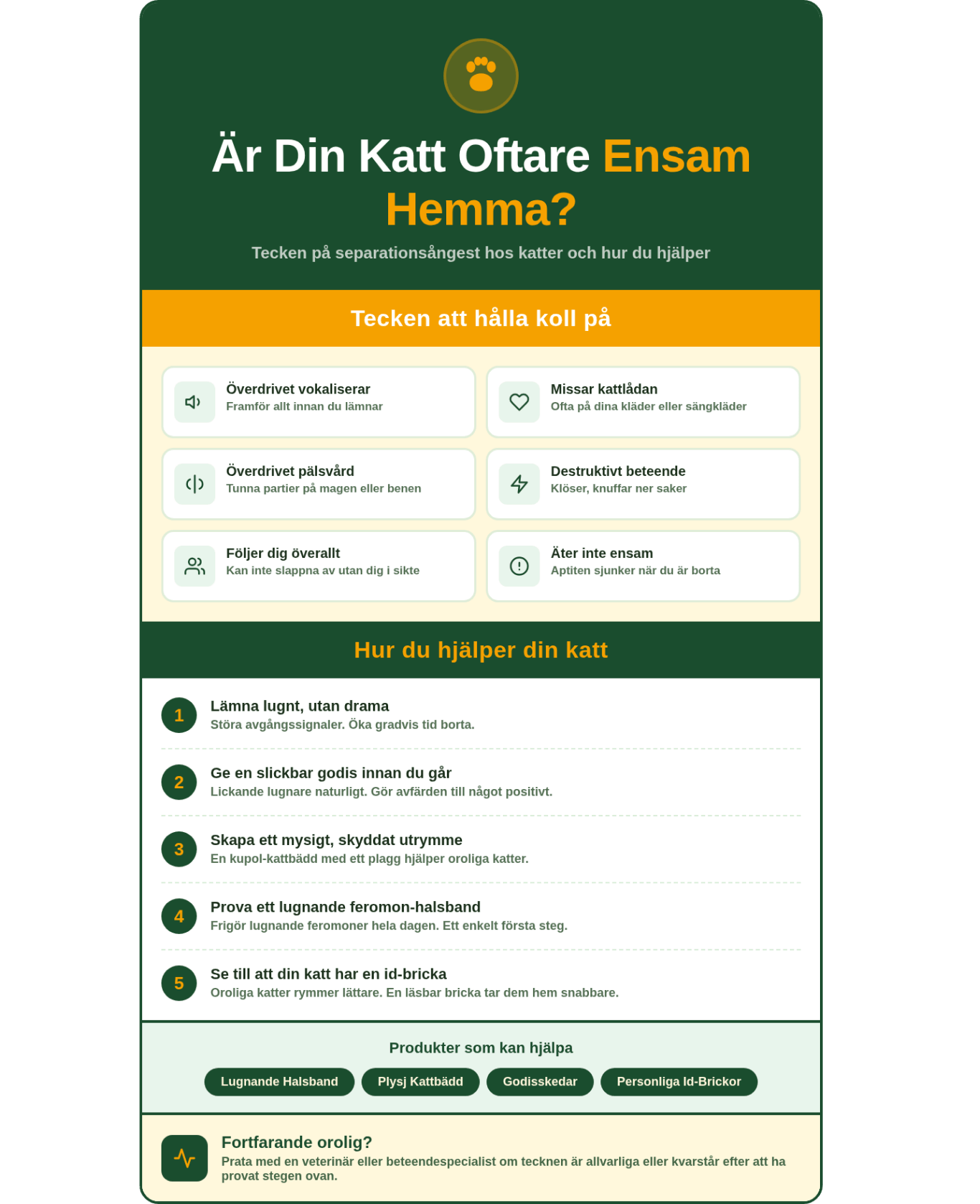 Översikt över tecken på separationsångest hos katter och hur du kan hjälpa.